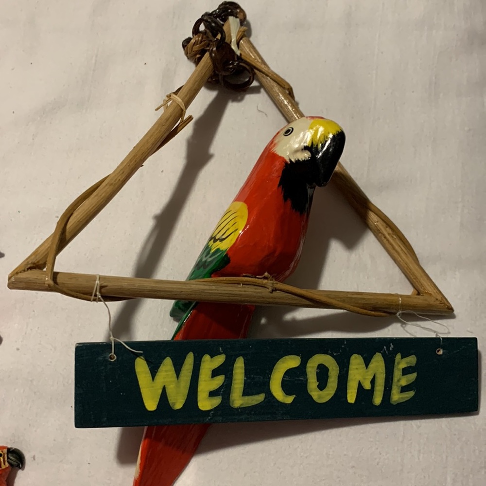 Parrots 🦜 - Picture 2 of 11